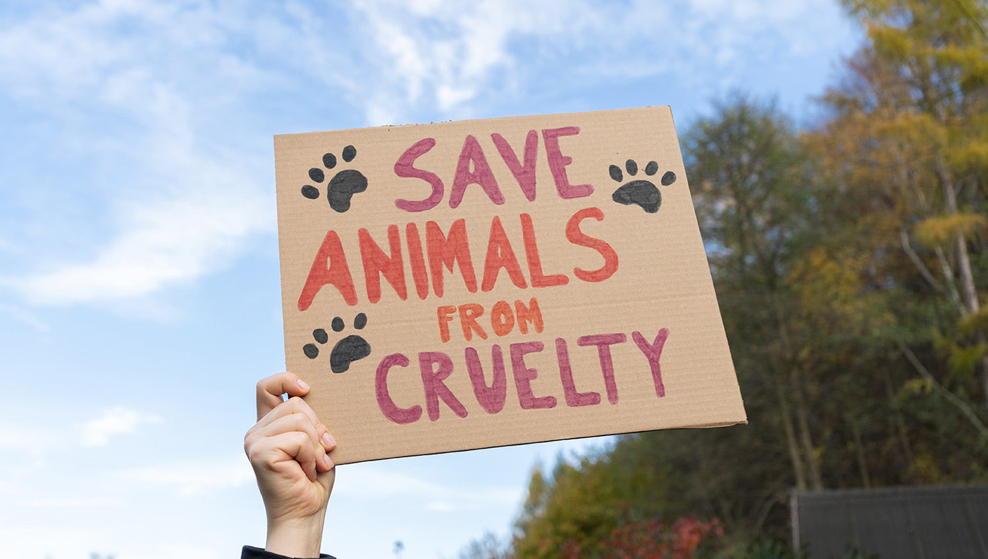 A major breakthrough for animal welfare in Canada : Animal experimentation and the trade of animals for cosmetics soon to be banned