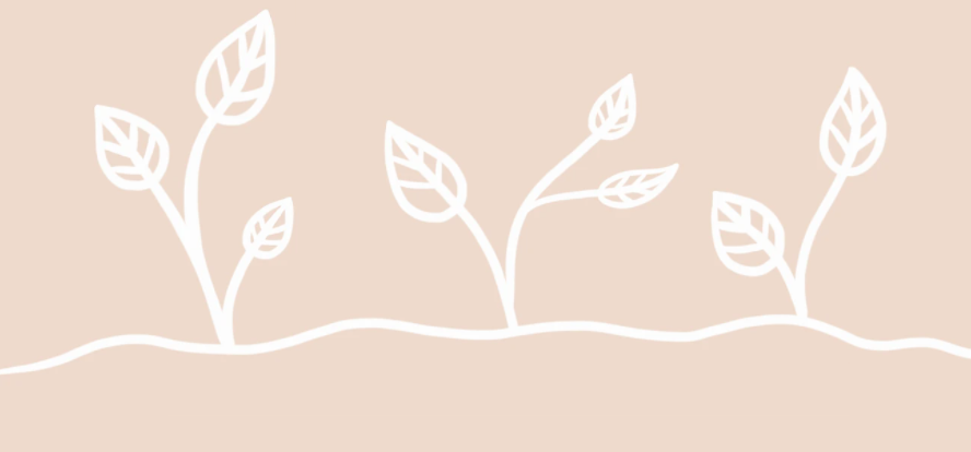 BKIND Plants Trees for Black Friday!