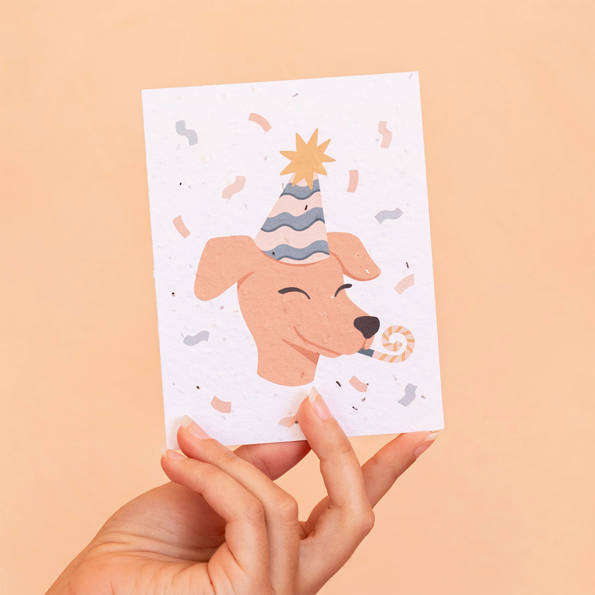 carte-plantable-fête-birthday