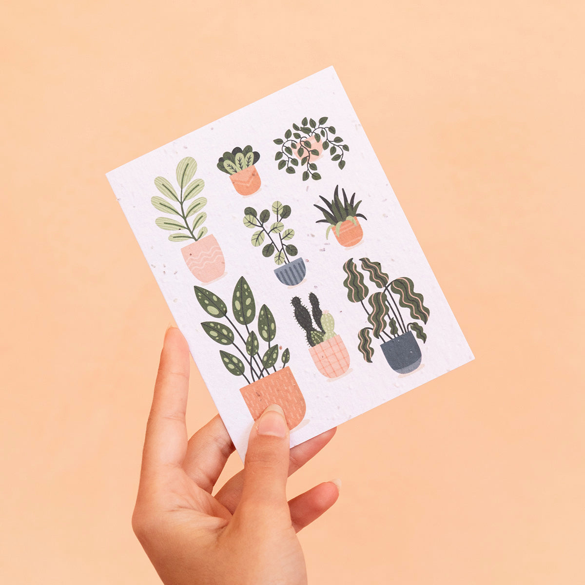 carte-plantable-plante