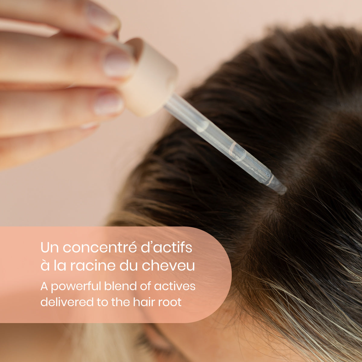 Sérum capillaire densifiant avec peptides et racine de curcuma