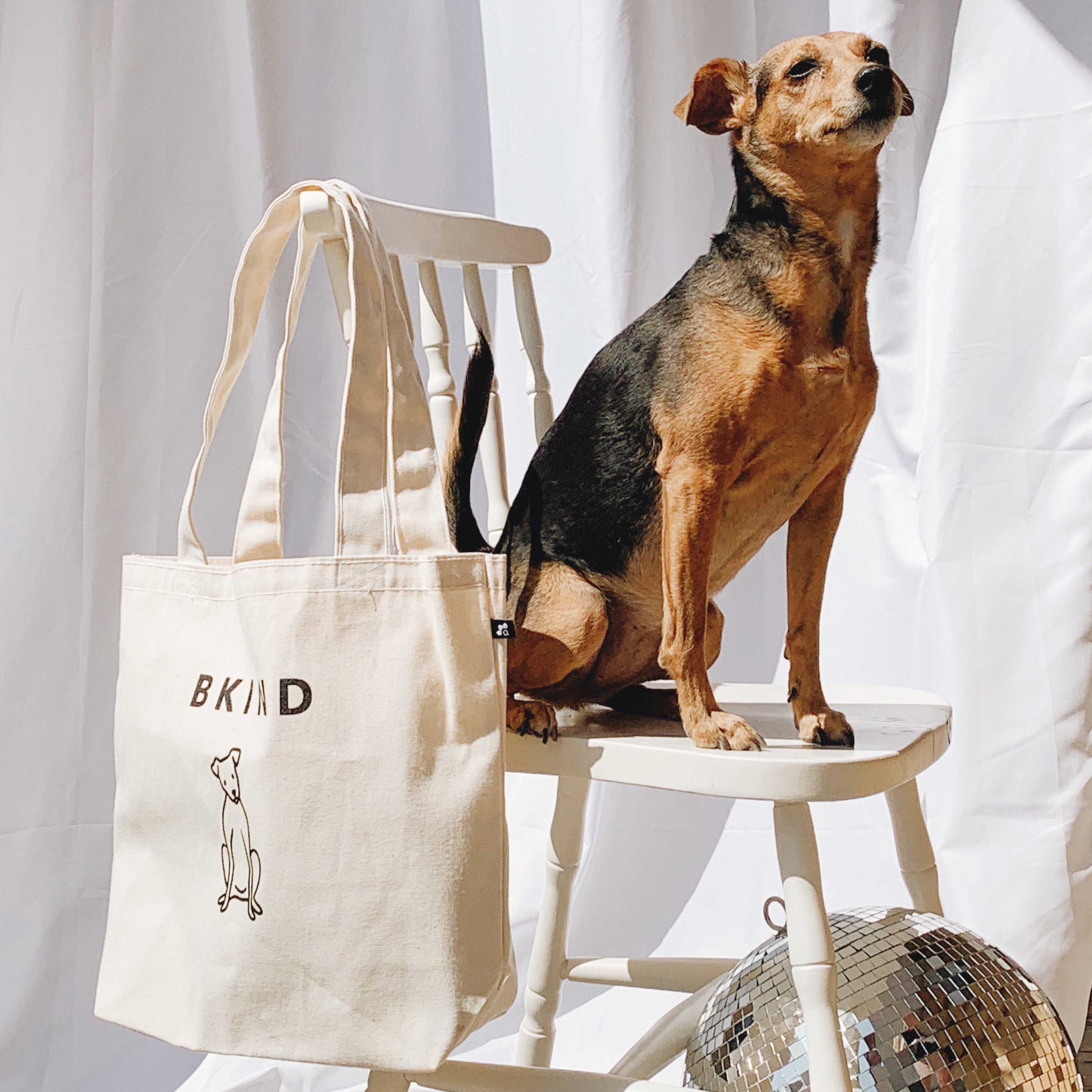 Natural Cotton Tote Bag - BKIND's Dog Luna