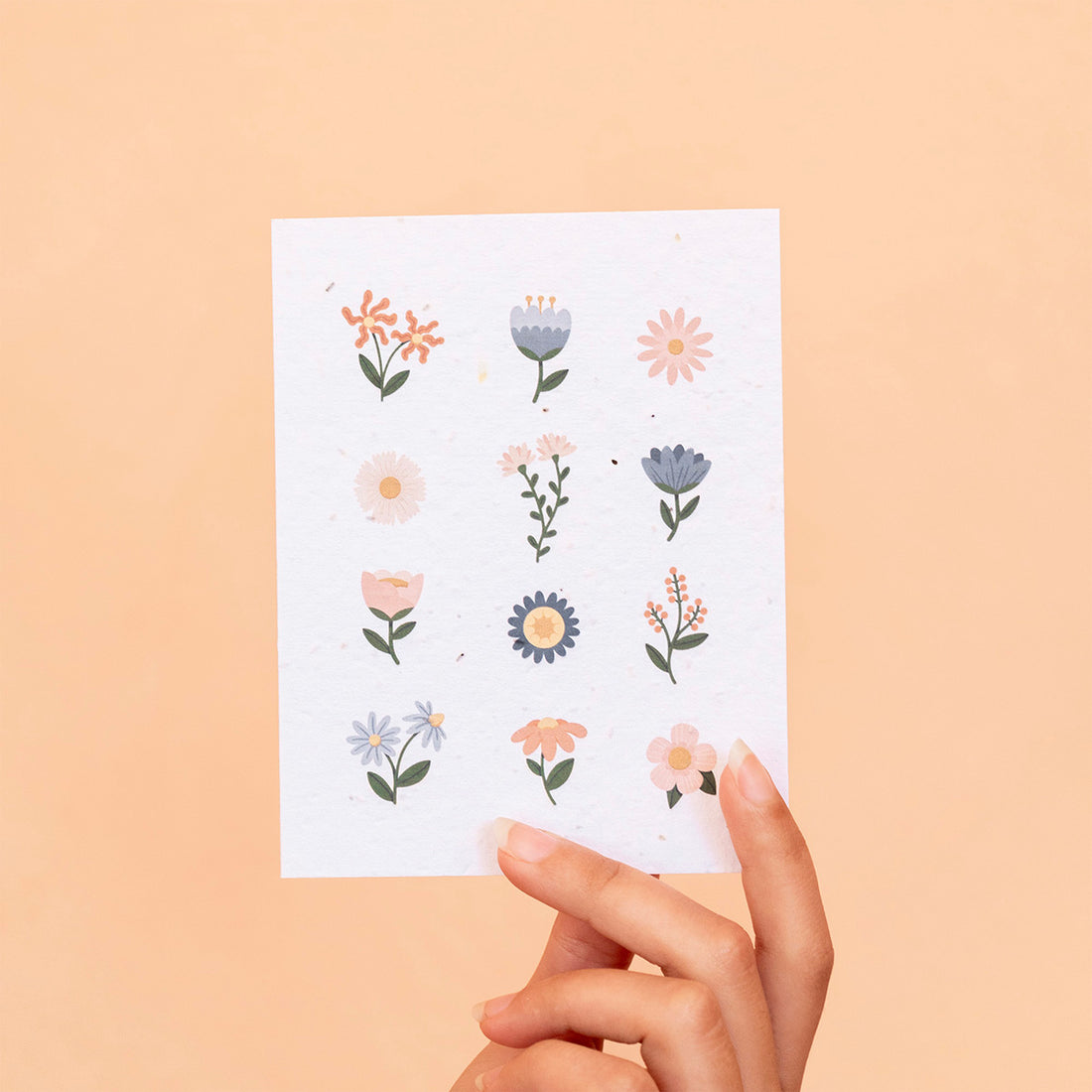 carte-plantable-fleurs-flowers