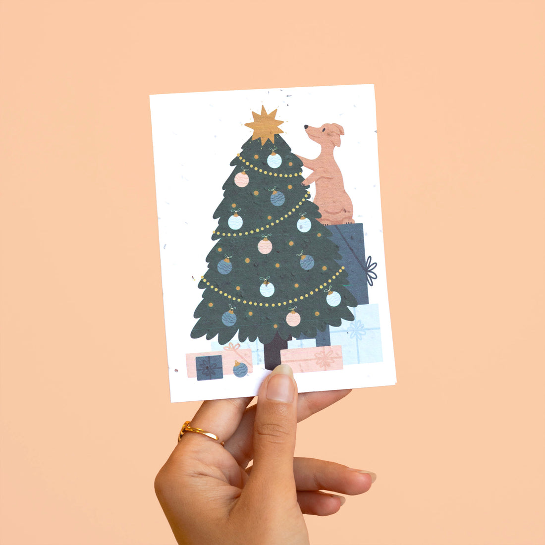 Holiday plantable card - Oh Christmas tree