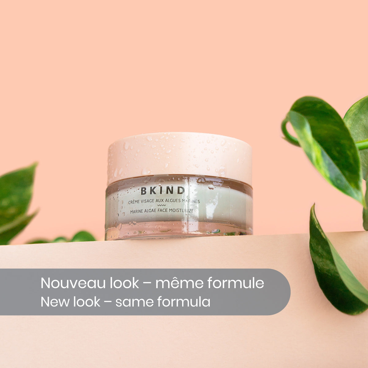 Balancing &amp; Hydrating Marine Face Moisturizer with Algae &amp; Chlorophyll Complex