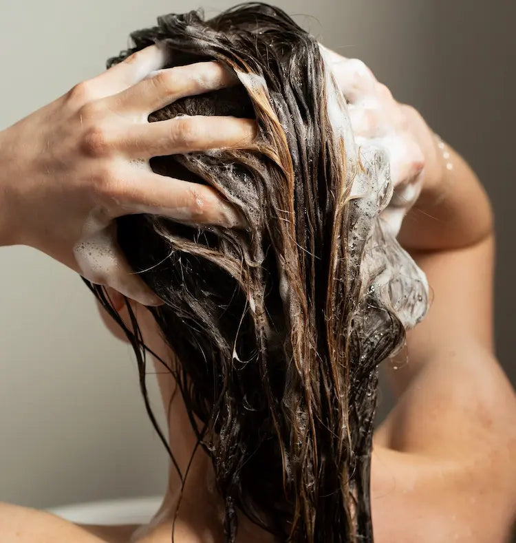 Shampoing en barre - Cheveux colorés ou blancs